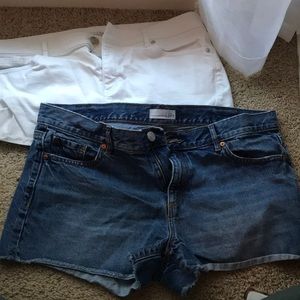 Loft Denim Shorts